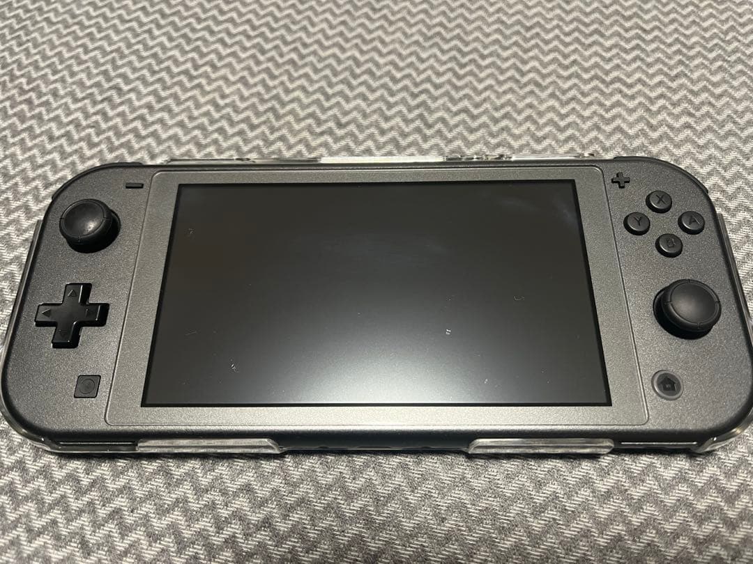 Nintendo Switch Lite ディアルガ・パルキア カセット2個