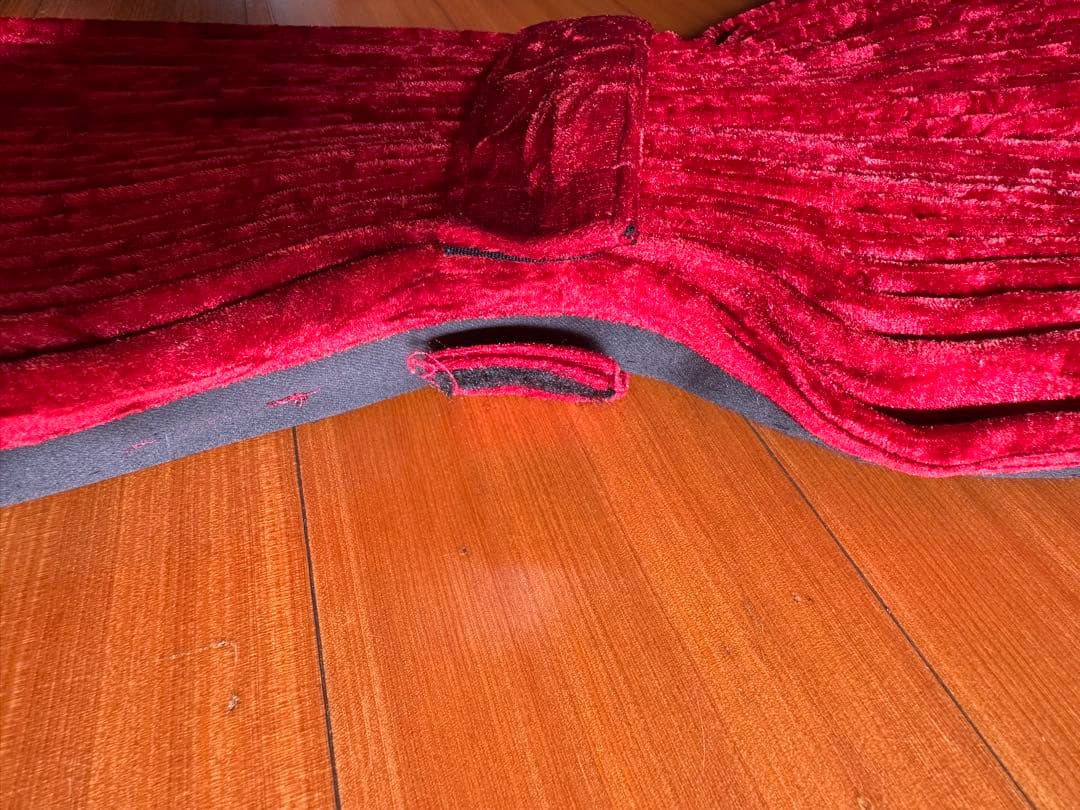 金華山　チンチラ　レッドゴールド