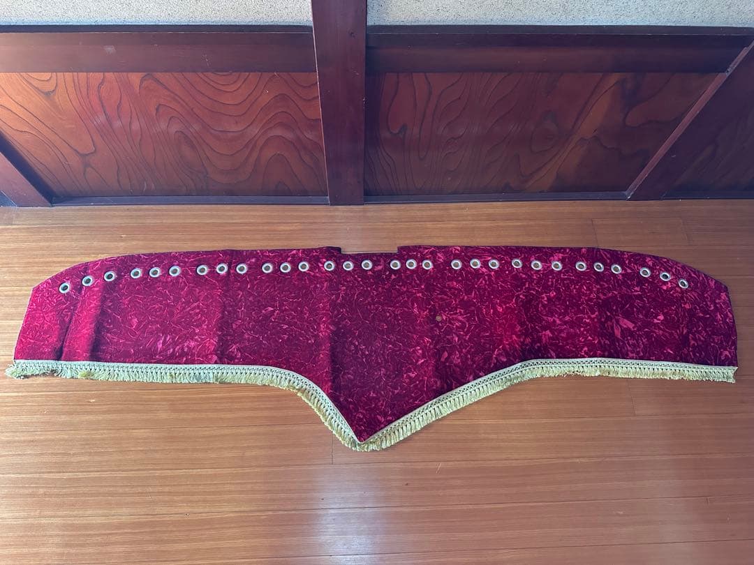 金華山　チンチラ　レッドゴールド