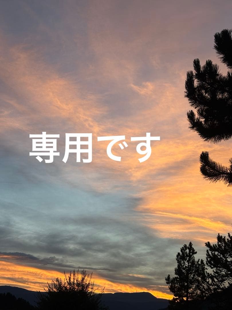 専用　レザーバッグ