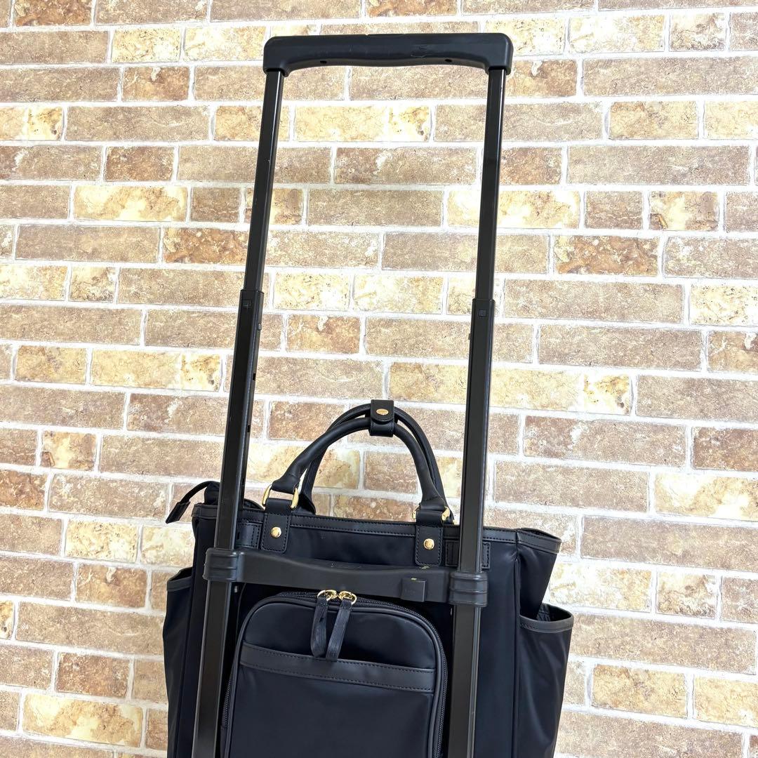 【美品】 スワニー 近沢レース店コラボ ノワール キャリーバッグ 4輪 15L