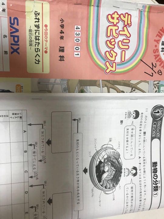 サピックスSAPIX  4年一年分4科目　5年