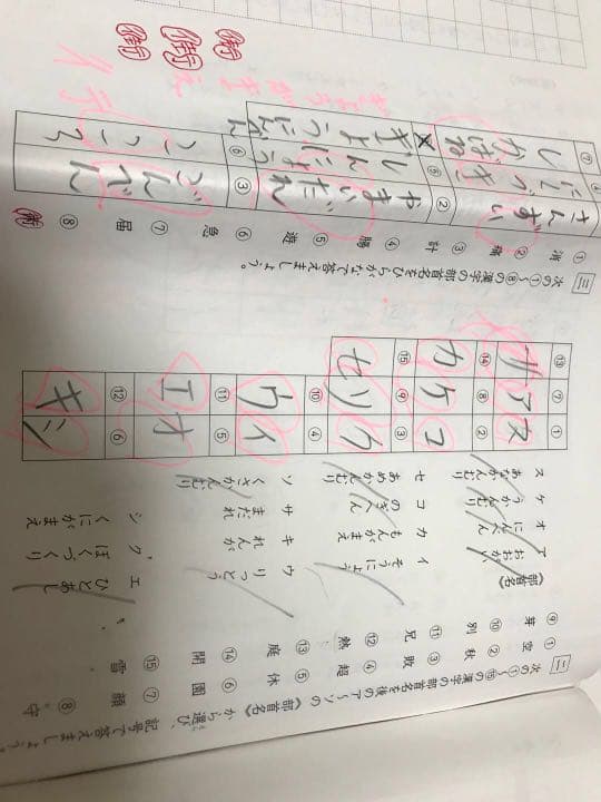 サピックスSAPIX  4年一年分4科目　5年