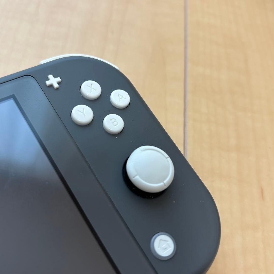 動作確認　Nintendo Switch Lite グレー本体　ACアダプター付