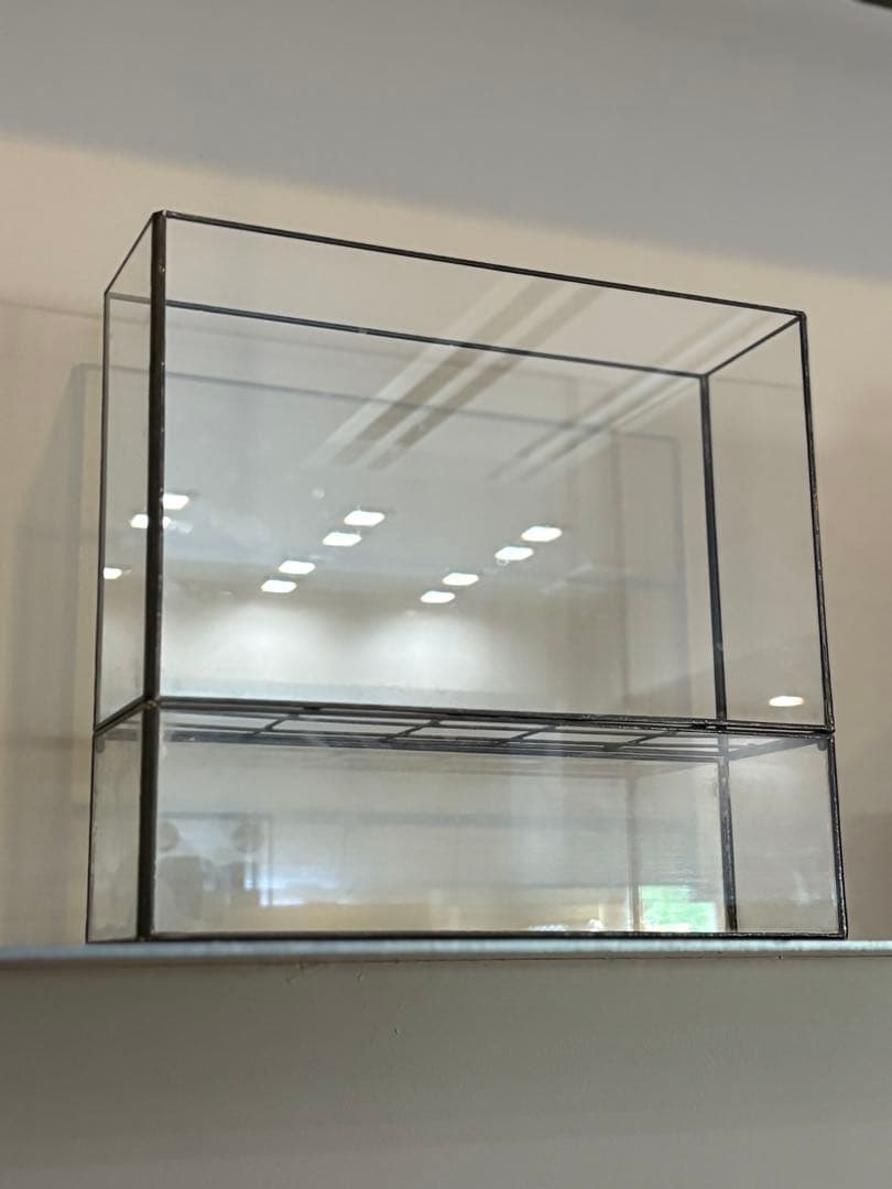 10¹² terra hydro 水耕栽培 ケース