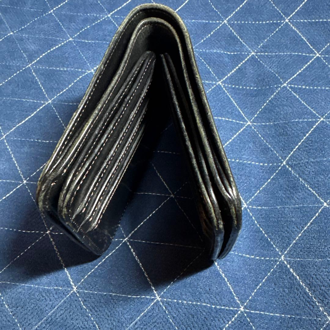 ワイルドスワンズフリッカー2