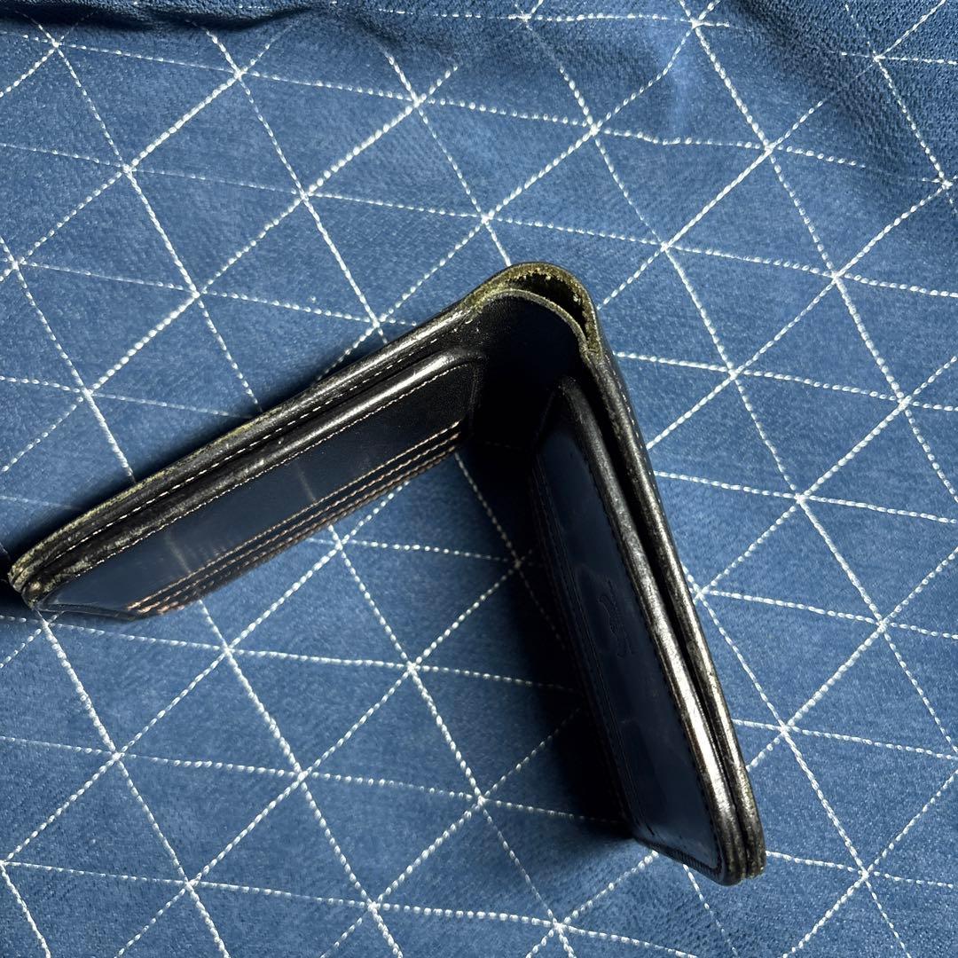 ワイルドスワンズフリッカー2