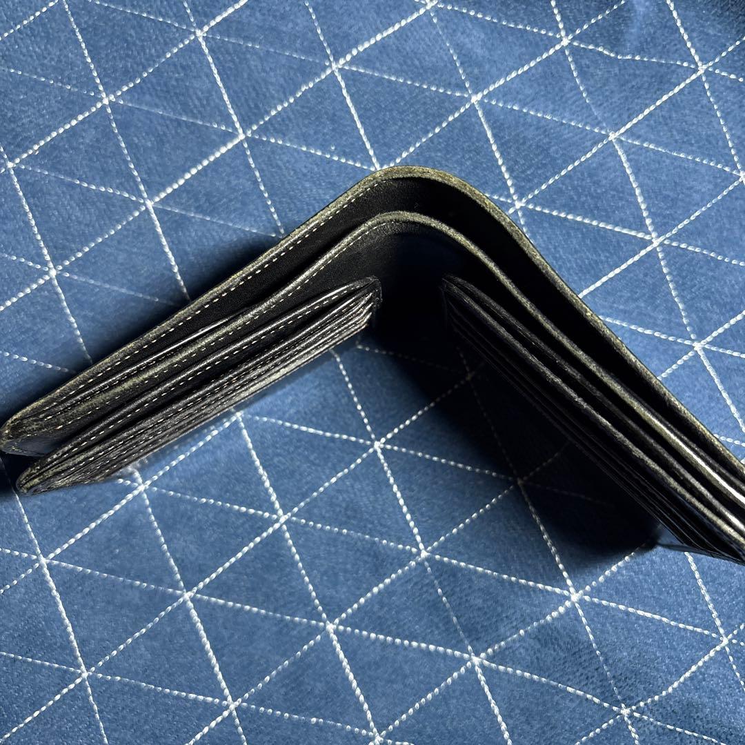 ワイルドスワンズフリッカー2