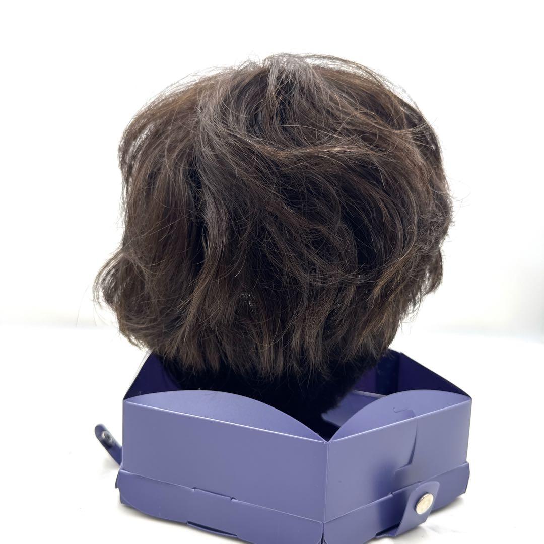 高級ウィッグ/ FONTAINE フォンテーヌ アクリル系 人毛