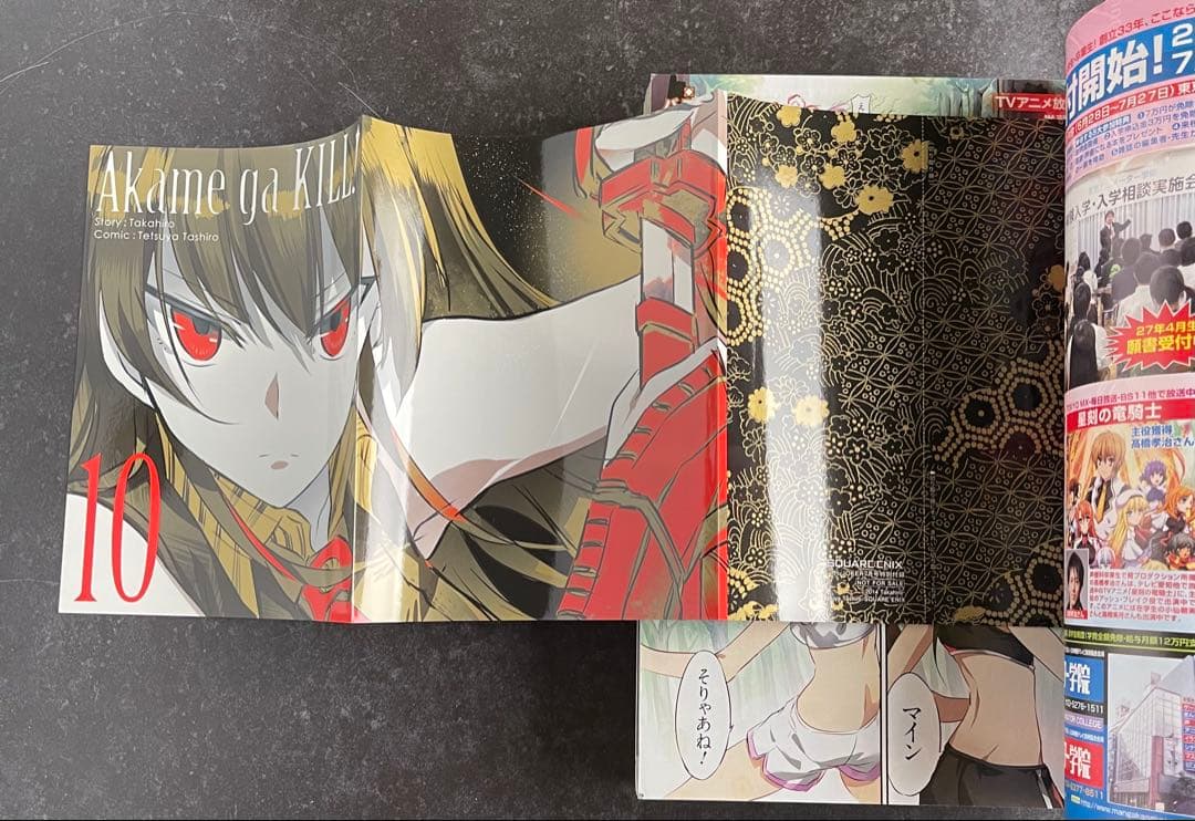 ●月刊ガンガンjoker 2014年 7月号 ●アカメが斬る! ブックカバー付き