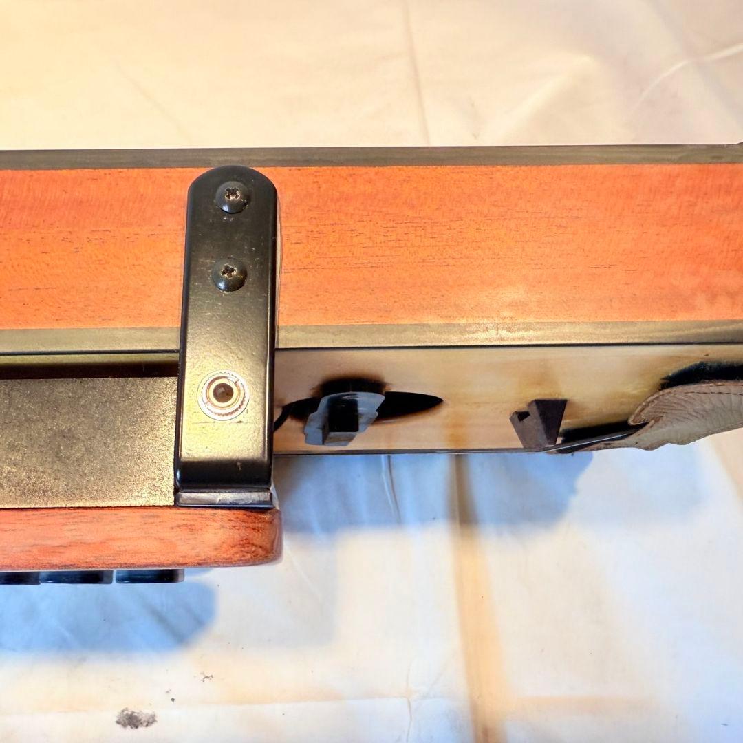 LYRISH(ライリッシュ) LPS50大正琴　 ピックアップ付き