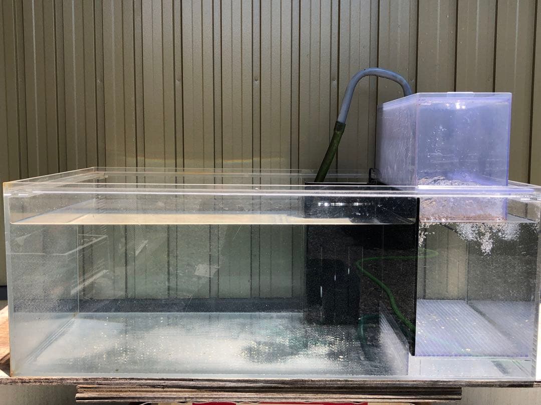 キ*シ様 サイド濾過槽付き水槽