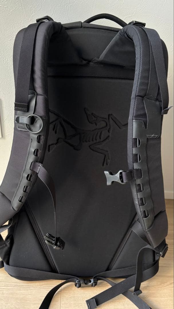 バッグ Arro 22 Backpack Wildstone