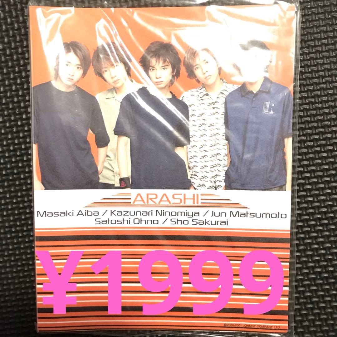 ❤️ネル様❤️嵐 フェス'13 DVD 2枚組 初回プレス仕様