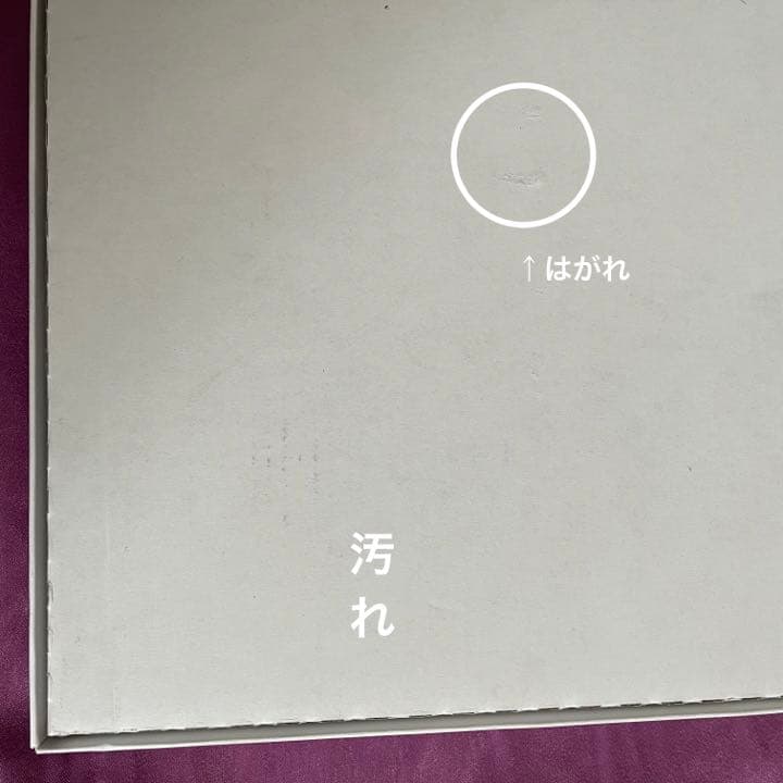 ゼノブレイド2 Collector's Edition【ゲームソフト無し】