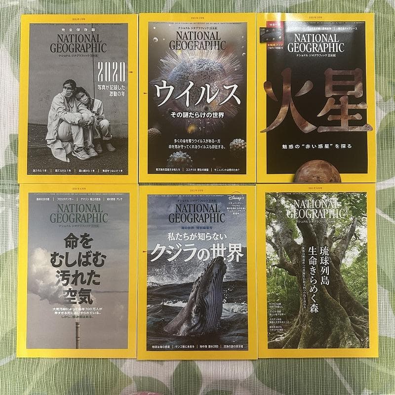 ナショナルジオグラフィック 日本版 24冊セット ナショジオ
