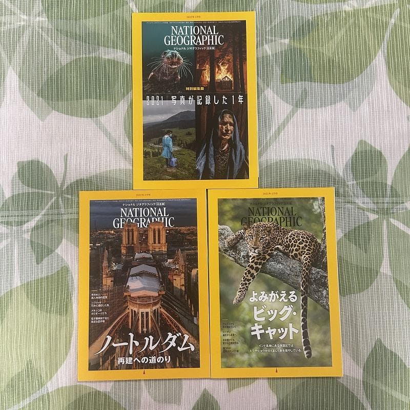 ナショナルジオグラフィック 日本版 24冊セット ナショジオ
