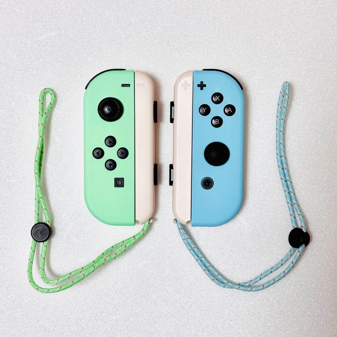 Nintendo Switch あつまれ どうぶつの森セット 本体保護ケース付