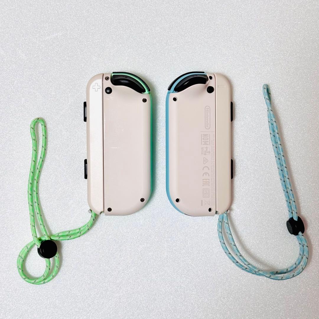 Nintendo Switch あつまれ どうぶつの森セット 本体保護ケース付