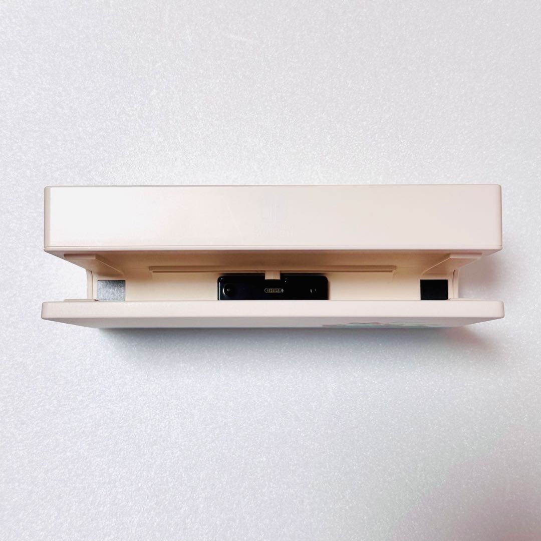 Nintendo Switch あつまれ どうぶつの森セット 本体保護ケース付