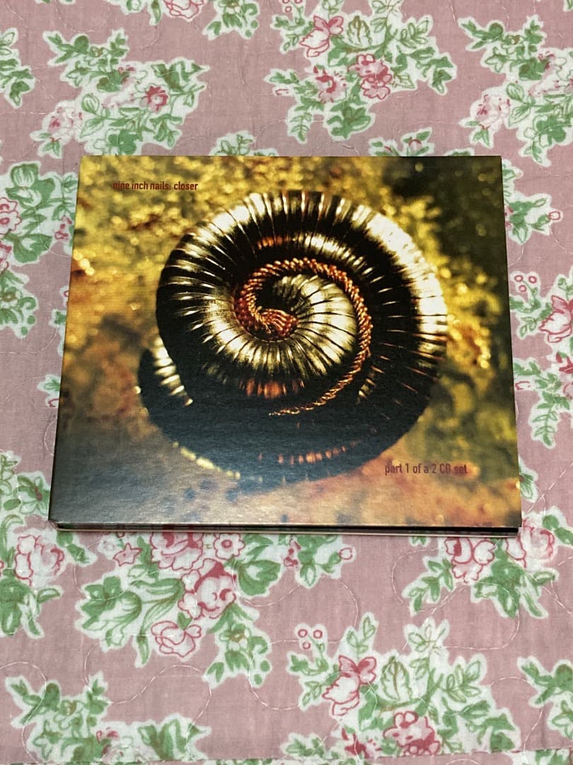 激レア！ nine inch nails FISTED ボックス