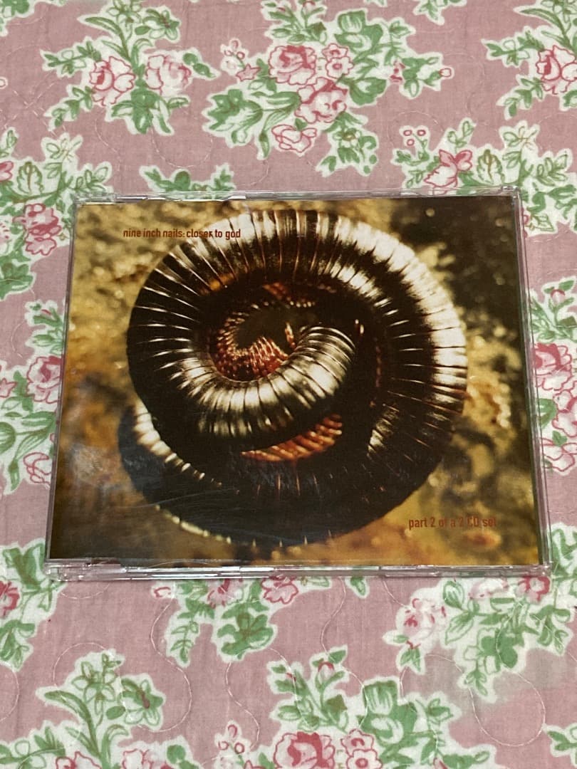 激レア！ nine inch nails FISTED ボックス