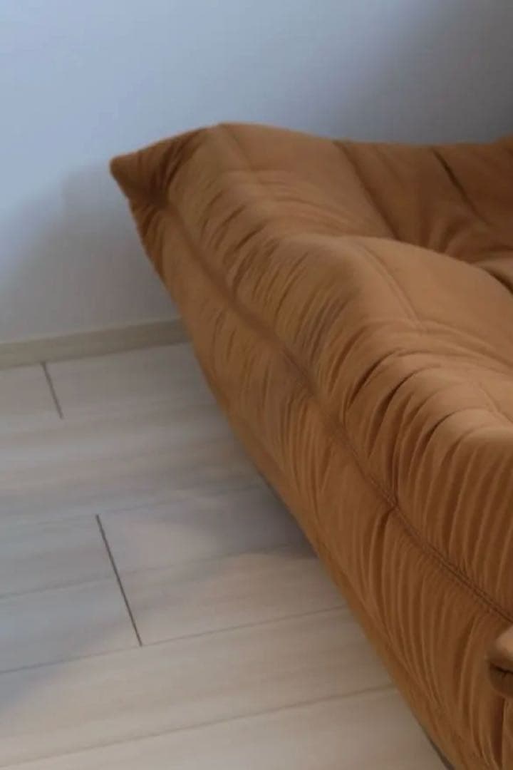 リーンロゼ　ligne roset トーゴ2p ブラウン【廃盤カラー】