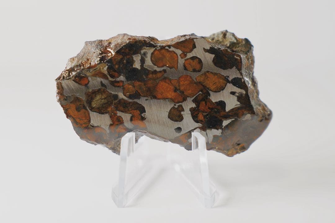 セリコ・パラサイト 隕石 原石標本 黄金色オリビン切面 × 自然外殻｜約30g