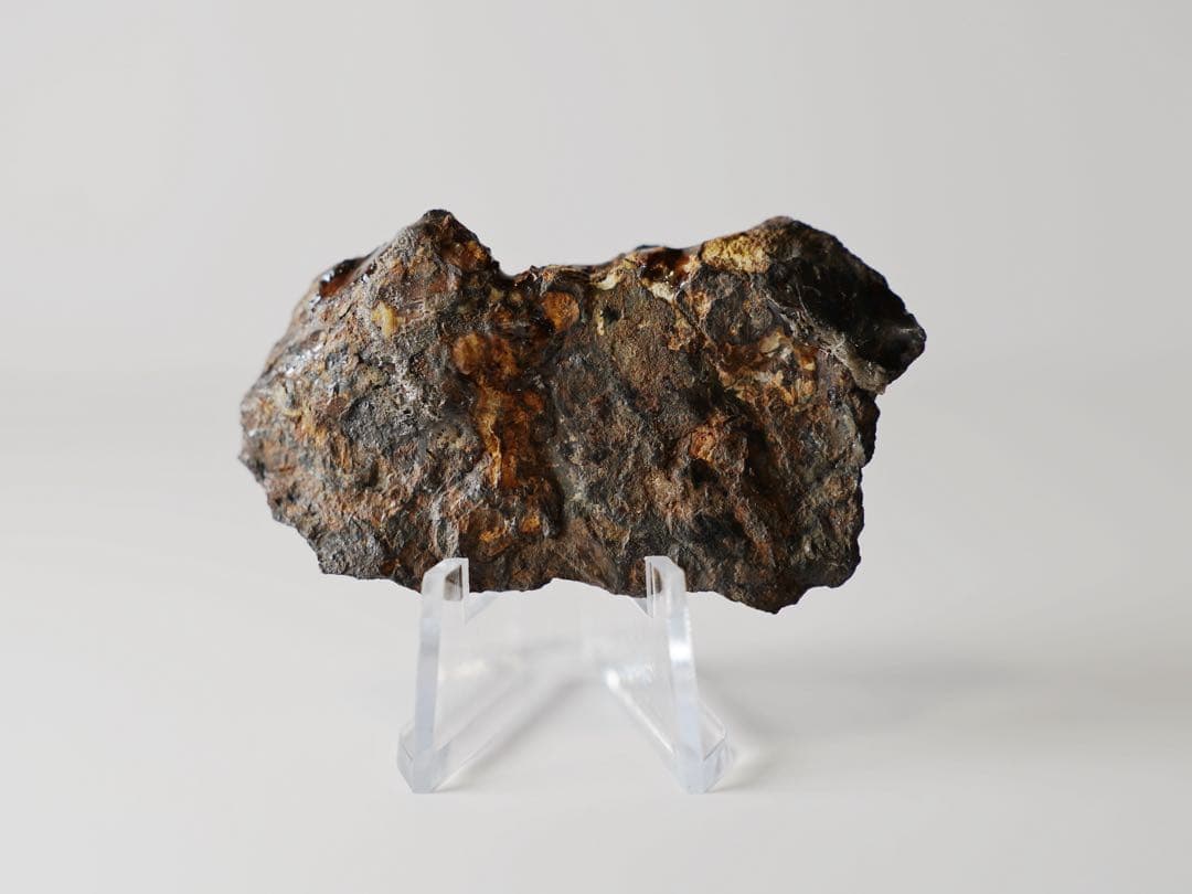 セリコ・パラサイト 隕石 原石標本 黄金色オリビン切面 × 自然外殻｜約30g