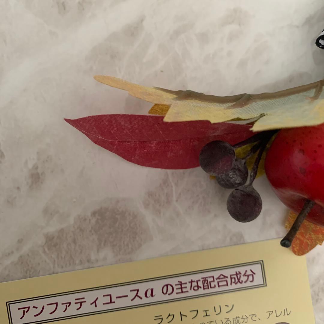 Leo♦️アンファティIF 基礎３品⭐️ユースミニ1本プレゼント・新彩図 2