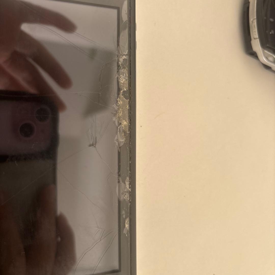 ジャンク品 Nintendo Switch Lite グレー 本体