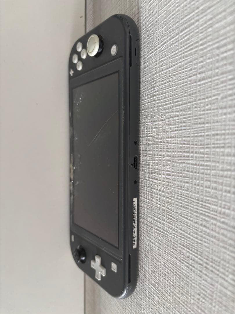 ジャンク品 Nintendo Switch Lite グレー 本体
