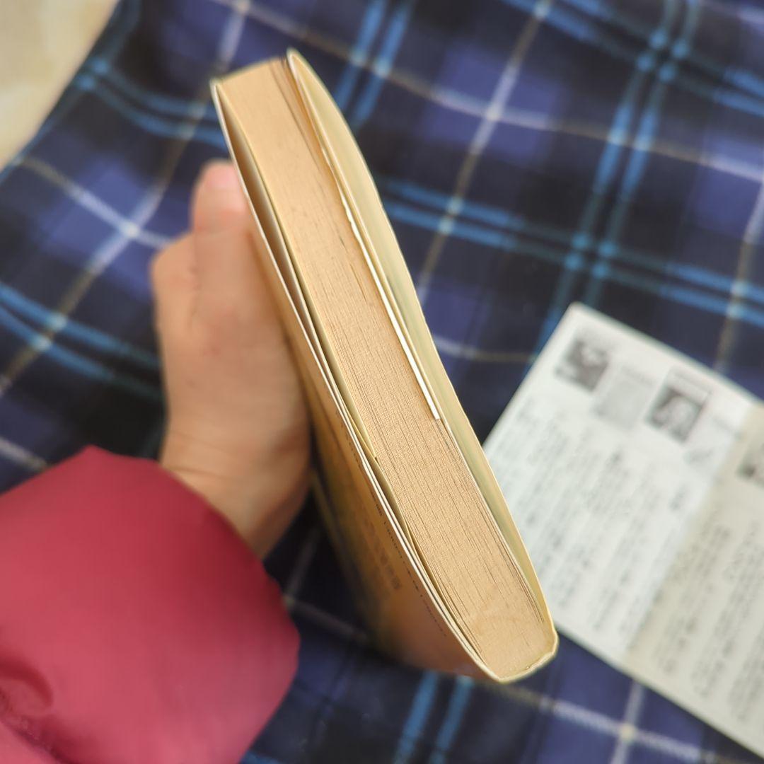 Kafka by Robert Crumb カフカ ロバート・クラム