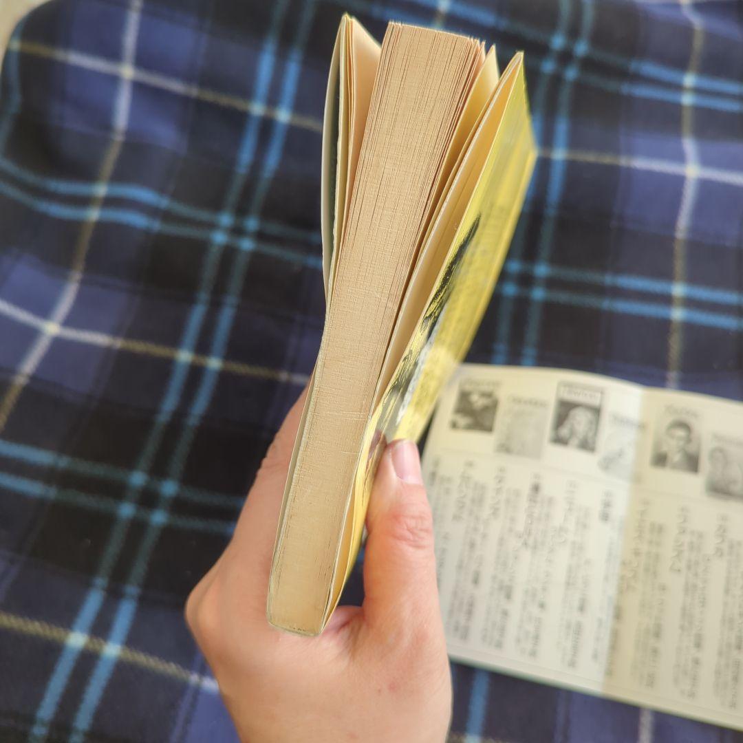 Kafka by Robert Crumb カフカ ロバート・クラム