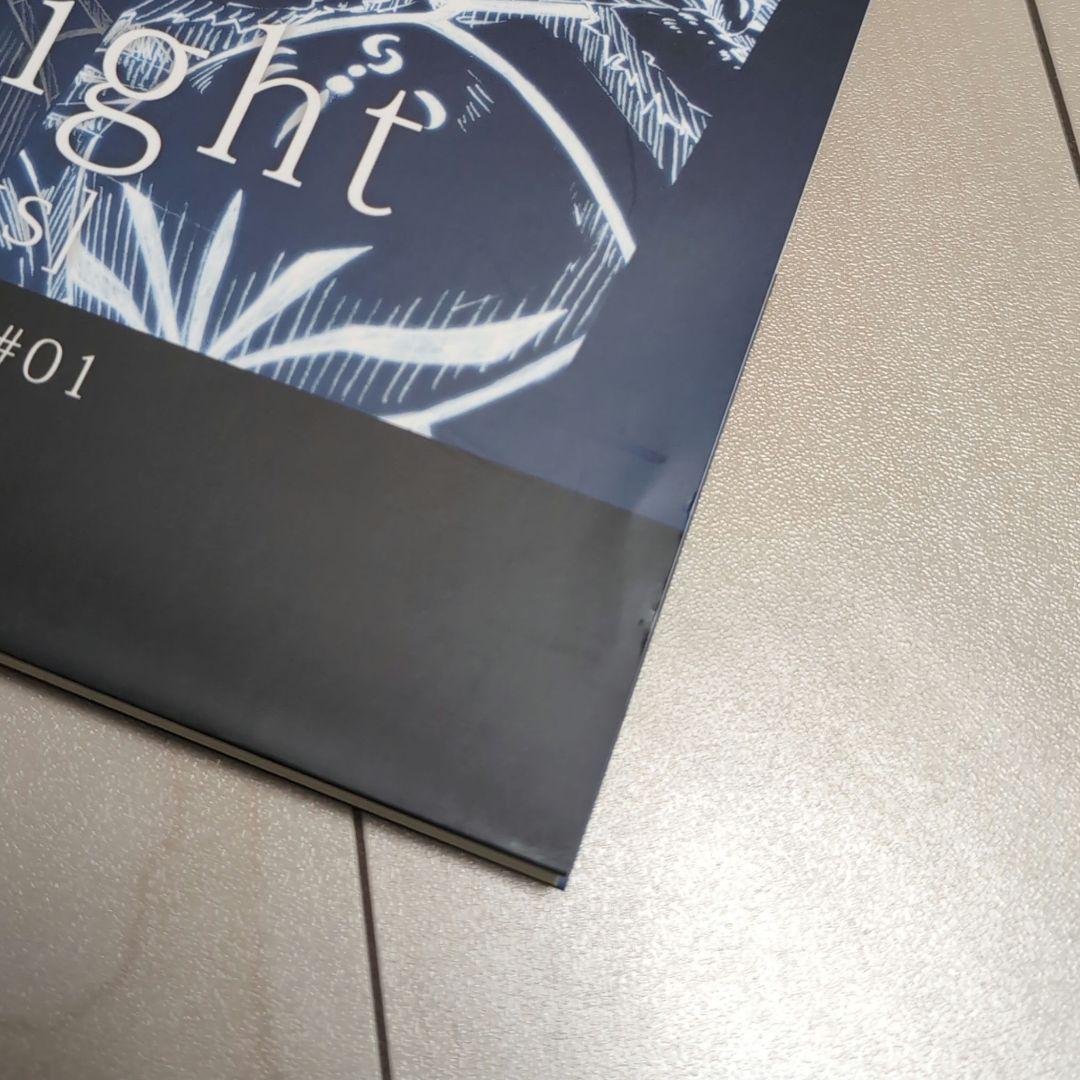 Fate/stay night キャラクターコンプリート原画集 セイバー