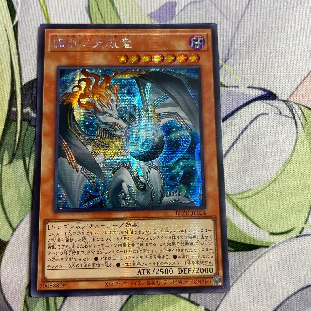 調和ノ天救竜　アジアシークレット