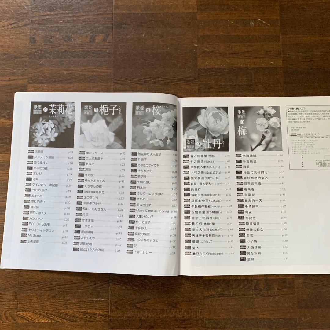 テレサ・テン　歌姫