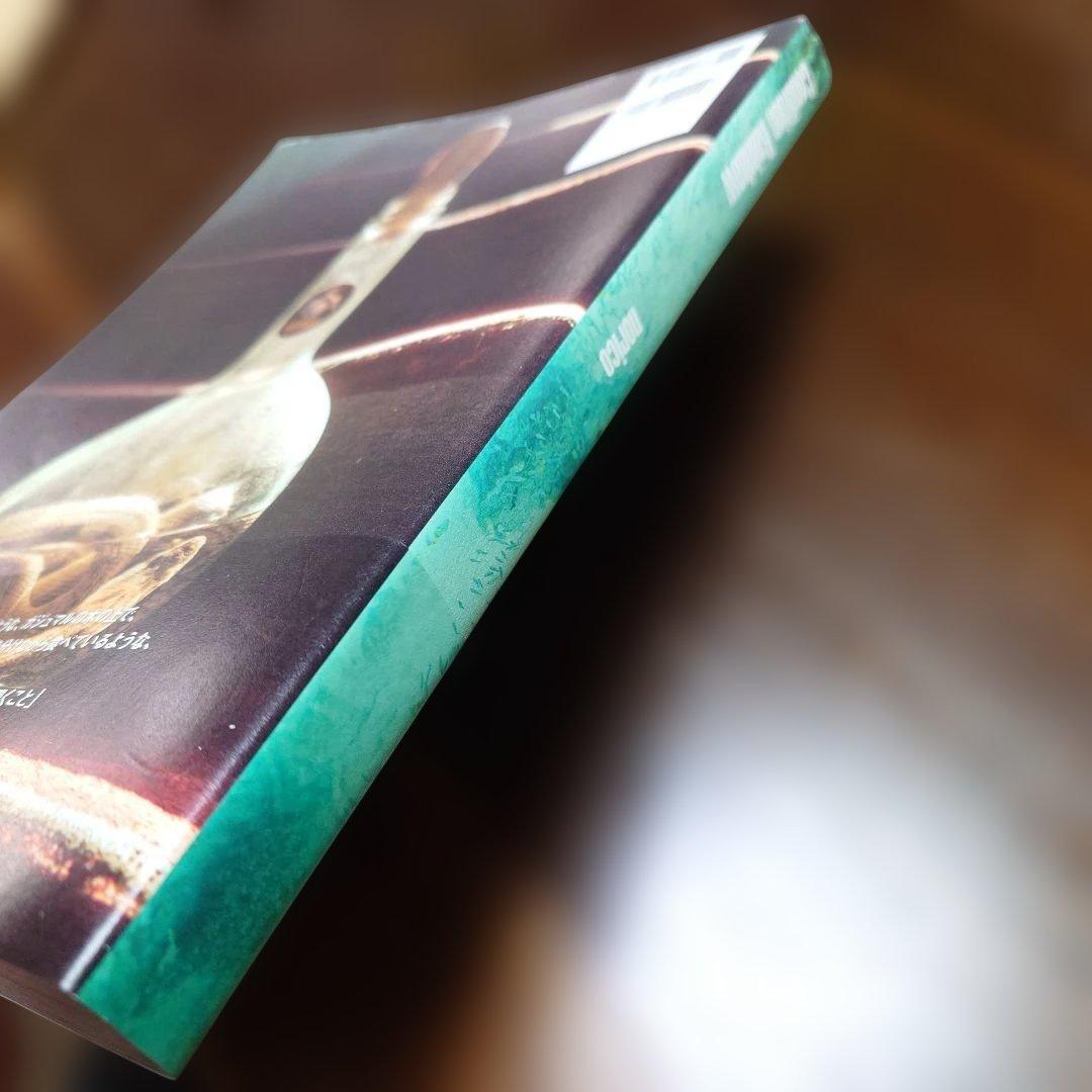 ひげのかっちゃん 写真集 Condition Rainbow norico