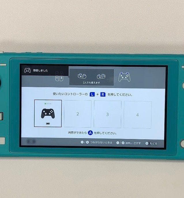 Nintendo Switch Lite 本体 動作品 2019 おまけ付き