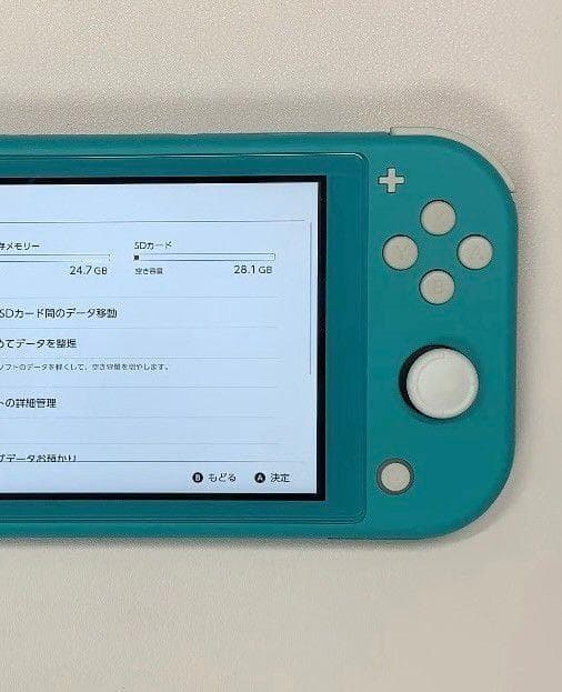 Nintendo Switch Lite 本体 動作品 2019 おまけ付き