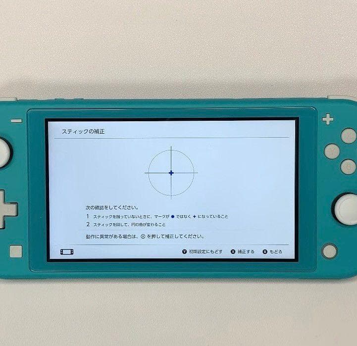 Nintendo Switch Lite 本体 動作品 2019 おまけ付き