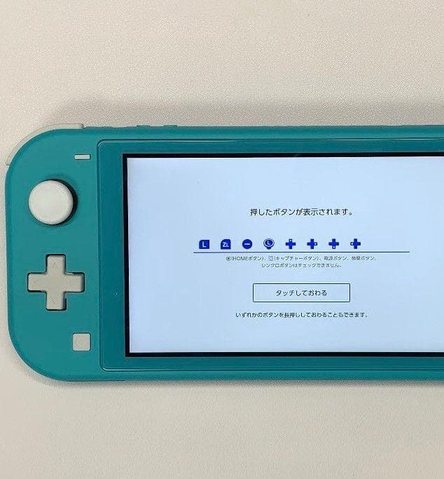 Nintendo Switch Lite 本体 動作品 2019 おまけ付き