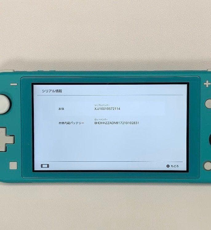 Nintendo Switch Lite 本体 動作品 2019 おまけ付き