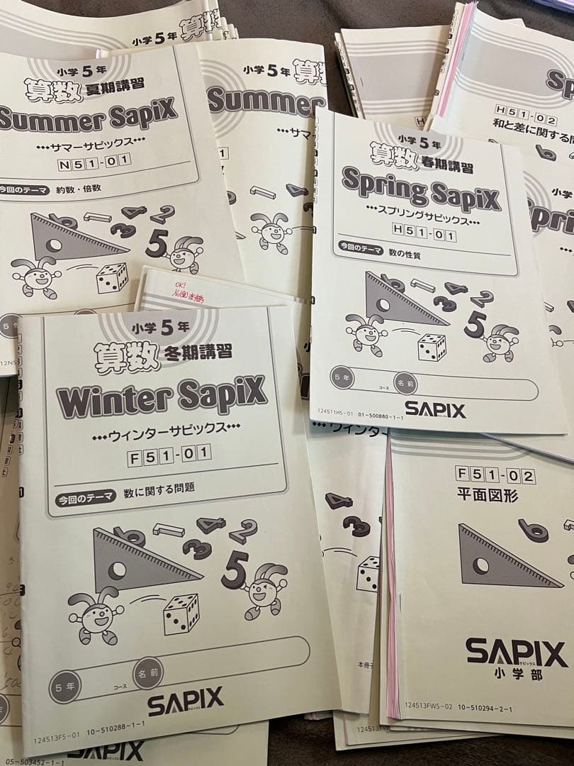 サピックス ５年 春夏冬 季節講習 フルセット 2024年度　算数　教科書