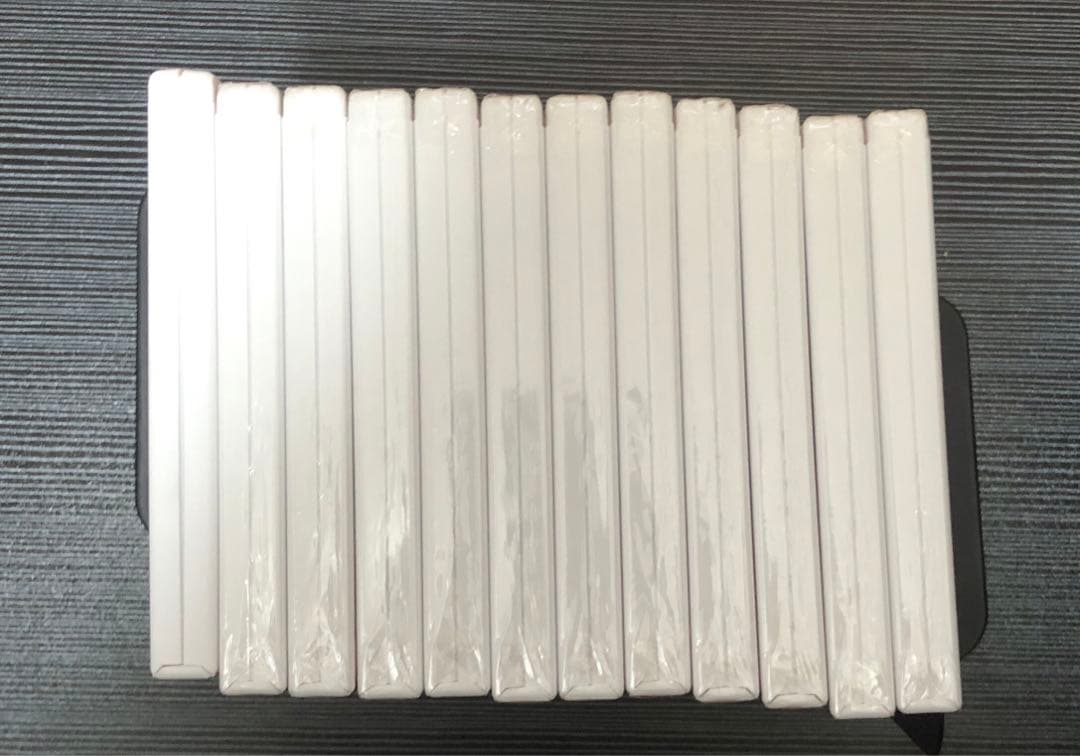 七田式 しちだ チャイルド アカデミー Monthly DVD 12巻 ルビー