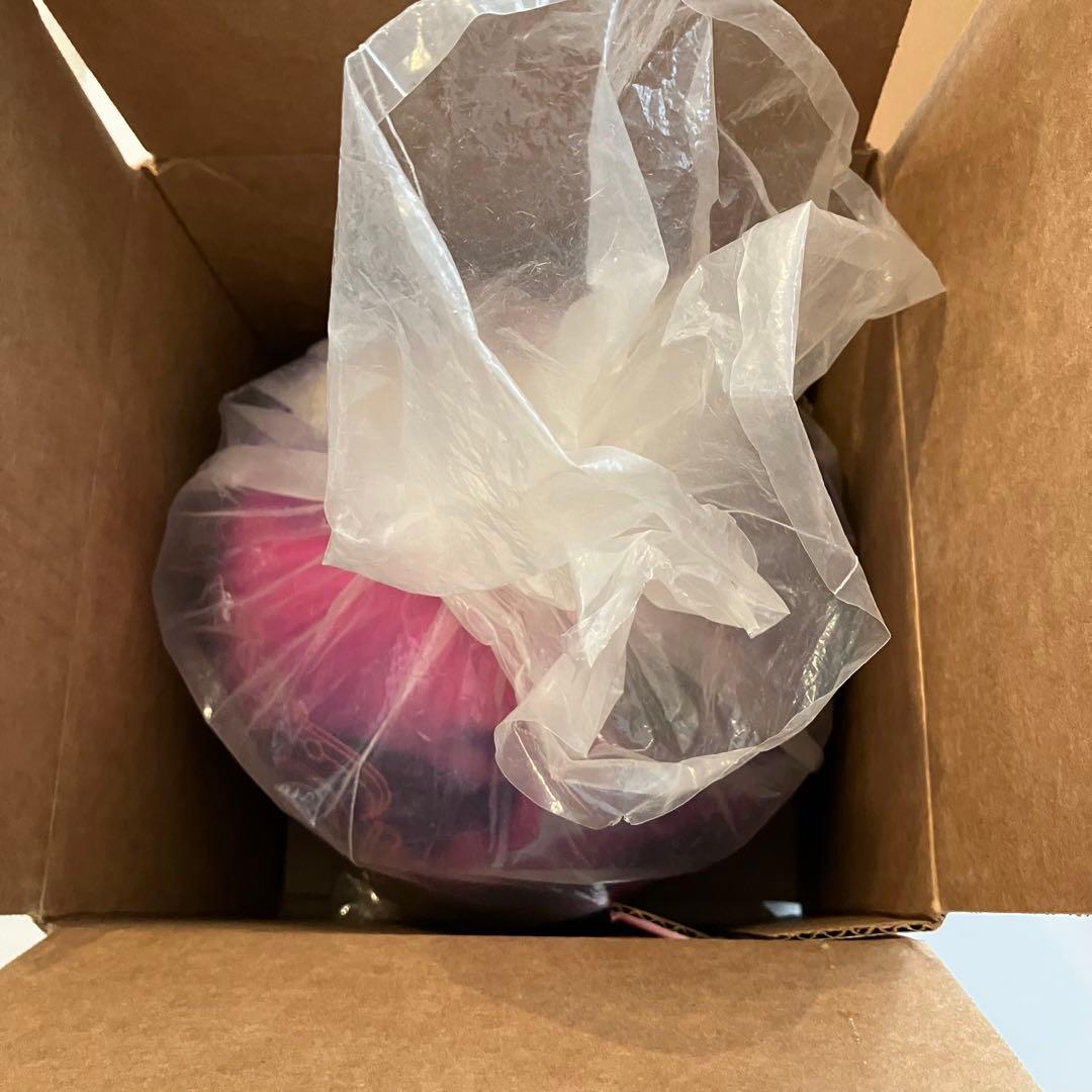 ア*む様 ION MAX 15ポンド[storm]