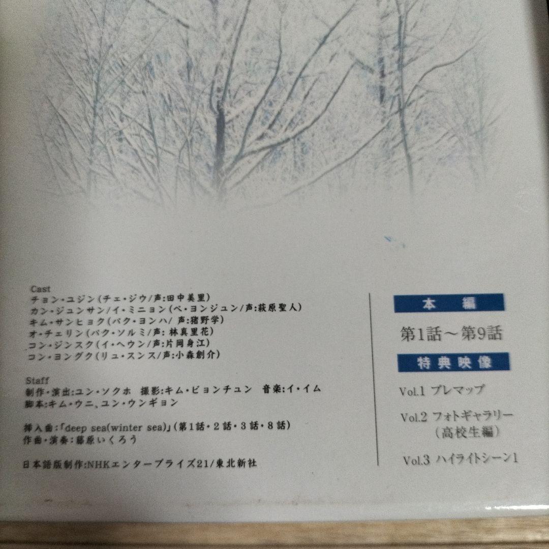 冬のソナタ プレミアムBOX カットシーン完全収録ミニョンメガネ完品　他最終章