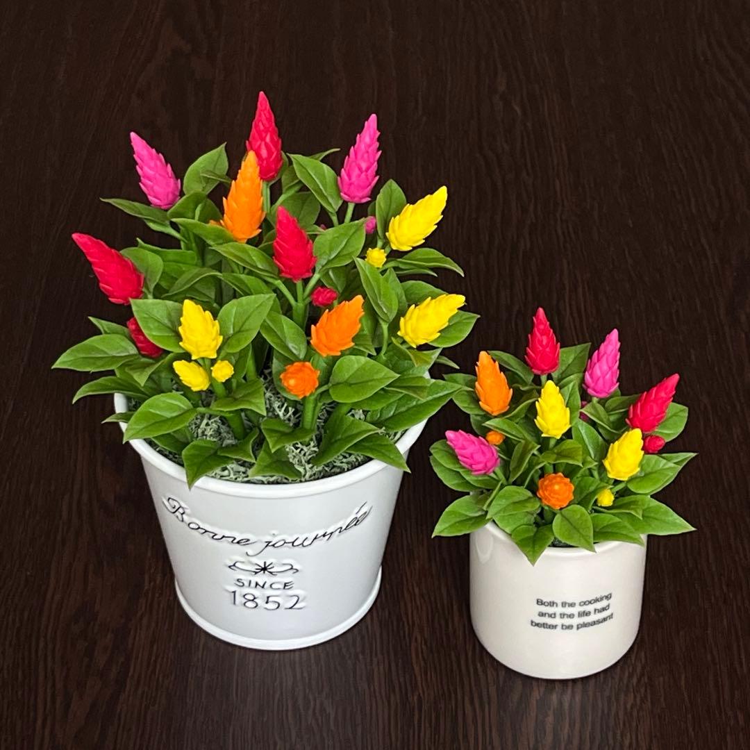 専用　プリムラジュリアン寄植え他6種　クレイフラワー