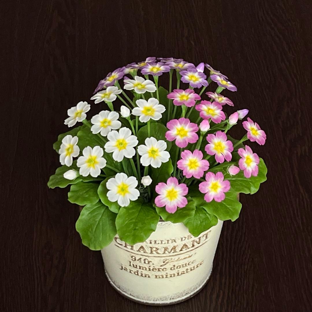 専用　プリムラジュリアン寄植え他6種　クレイフラワー