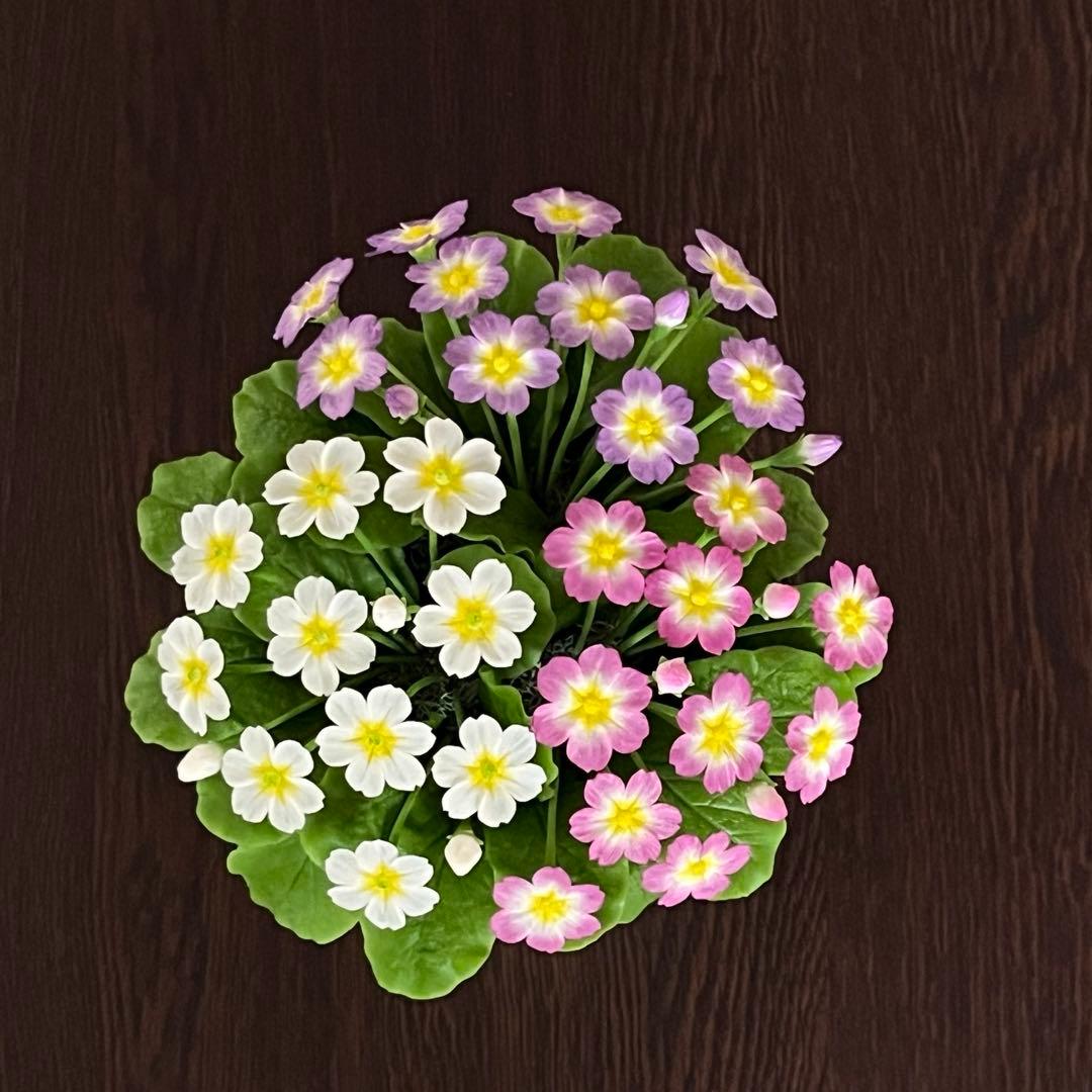 専用　プリムラジュリアン寄植え他6種　クレイフラワー